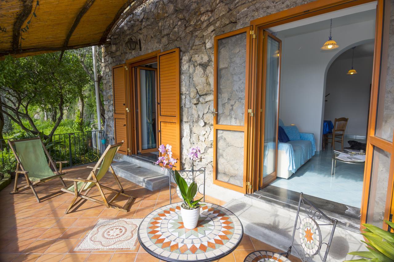 Le Nereidi B&B Positano Buitenkant foto